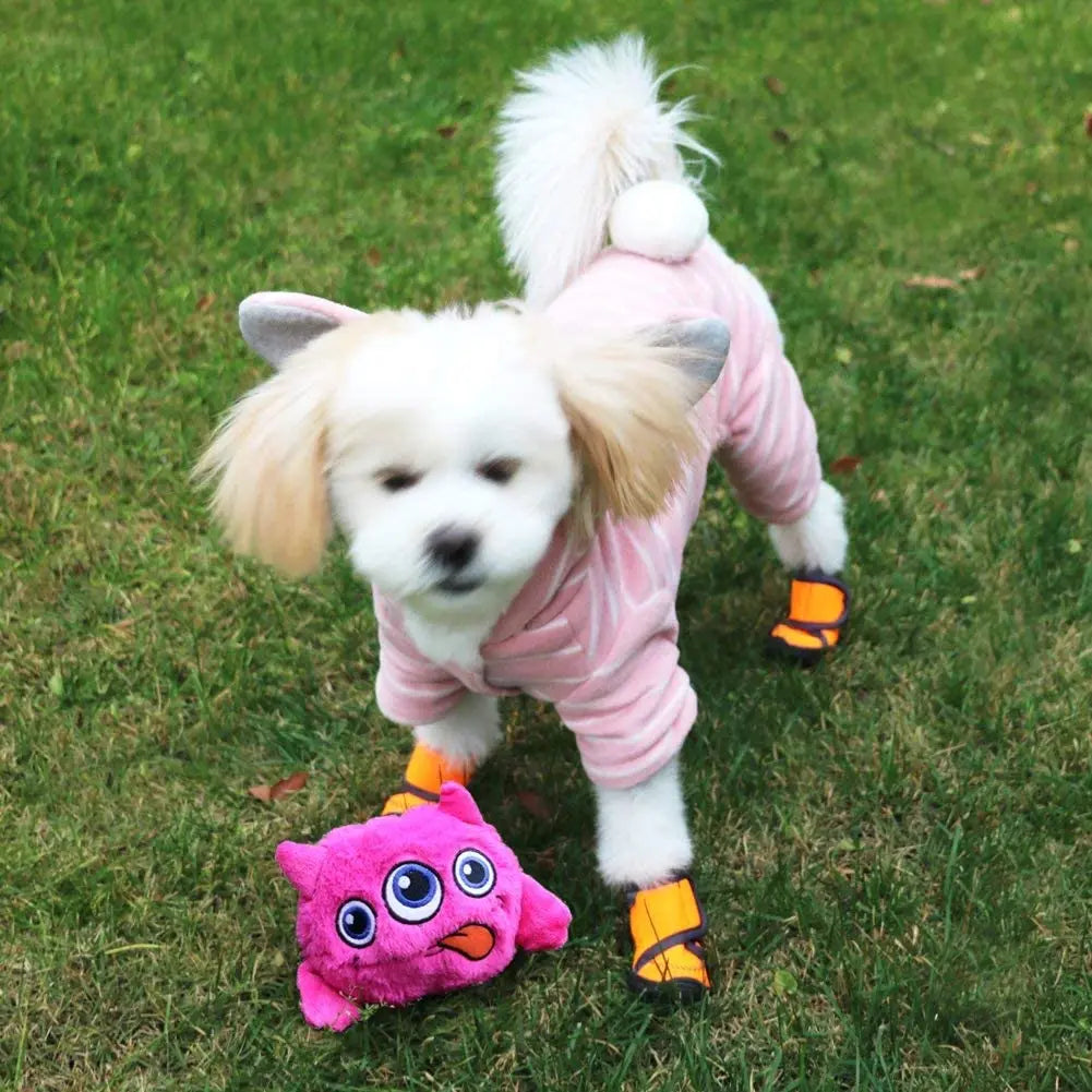 Wiggle Monster Ball for Dogs