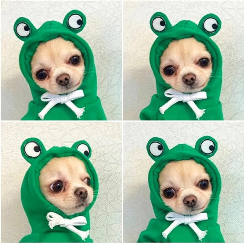 Froggy Snuggles Pet Hoodie