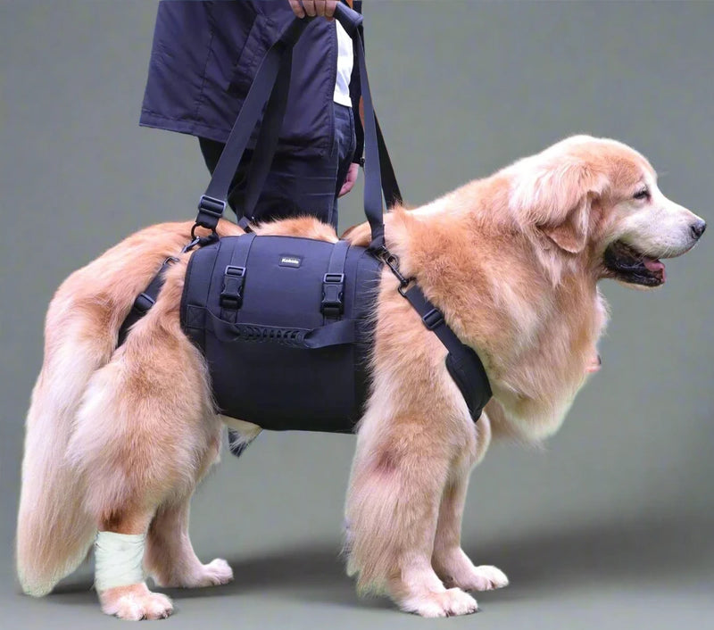Big Dogs Assist Lifting Harness