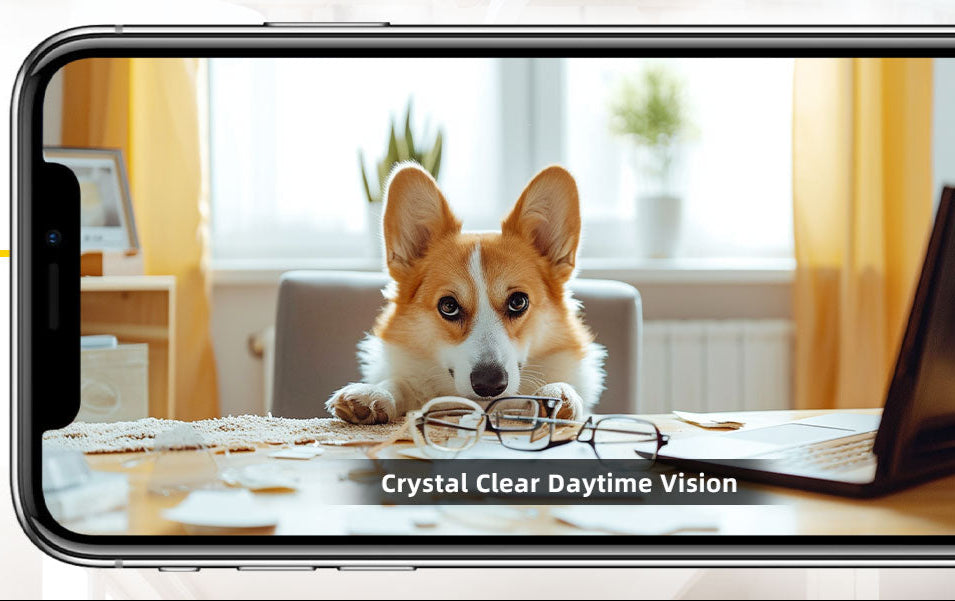 Security Pet Camera with Audio