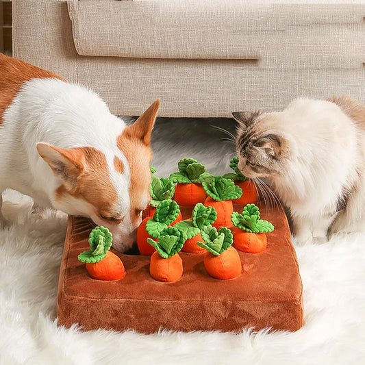 Interactive Carrot Snuffle Mat For Dogs