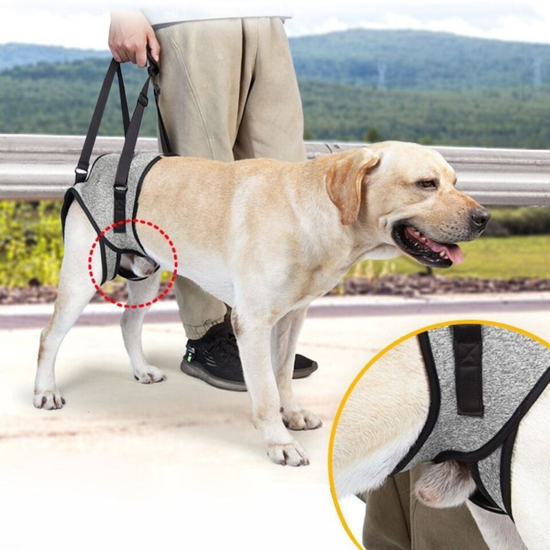 Dog Lift Back Leg Sling Support